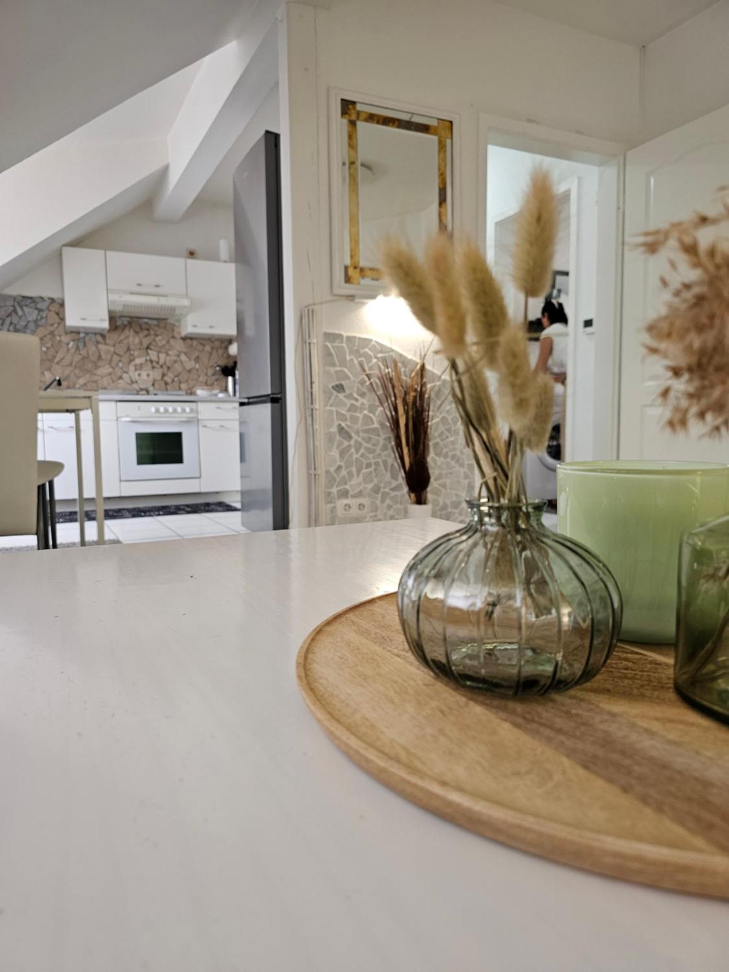 Schoene Dg Im Zentrum Apartment